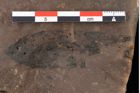 Foto (Detailansicht) von Sclerotium pustuliferum Heer (NHMW-GEO-2024-0188-0090)